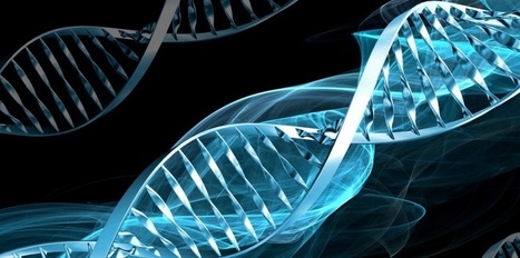 A semi-synthetic organism with an expanded genetic alphabet - Nature | Genetics - GEG Tech top picks | Scoop.it