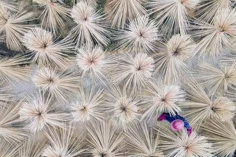 Picturing China's Bamboo Chopstick Industry From the Sky - Gastro Obscura | The Asian Food Gazette. | Scoop.it