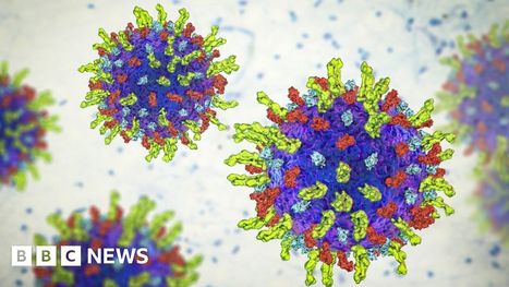 Cancer-killing virus shows promise in patients | #Research #Health  | Design, Science and Technology | Scoop.it