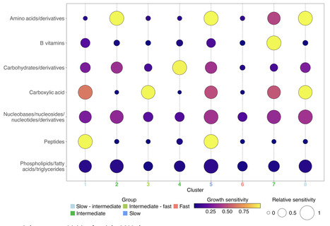 Defining metabolic niches for marine microbial heterotrophs | sadv | RMH | Scoop.it