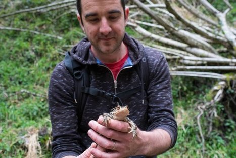 Sur la piste des serpents et grenouilles, sentinelles du changement climatique | Biodiversité | Scoop.it