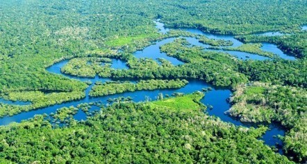 Keeping Amazon fish connected is key to their conservation | RAINFOREST EXPLORER | Scoop.it
