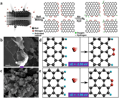 Direct nitrogen fixation at the edges of graphene nanoplatelets as efficient electrocatalysts for energy conversion | Plant-Microbe Symbiosis | Scoop.it