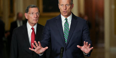 ‘Time for a GOP revolt’: WSJ urges senators to force Trump’s hand - Raw Story | Backstabber Watch | Scoop.it