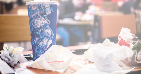 Les principales chaînes de fast-food s'engagent à mieux trier les déchets | GREENEYES | Scoop.it