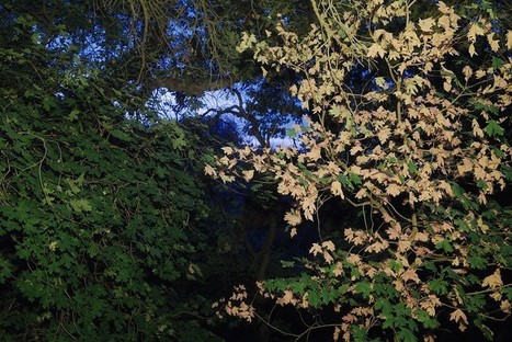 Fujifilm X100V Hack: Turn Daylight Into Blue Hour | Fujifilm X Series APS C sensor camera | Scoop.it