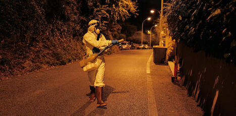 Chikungunya, dengue, Nil occidental : en 2025, la France confrontée à une circulation virale sans précédent | @ZeHub | Scoop.it