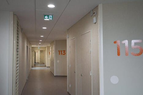 Tentatives de suicide&nbsp;: poursuite de la hausse des hospitalisations d&rsquo;adolescentes en 2025 | Famille et sexualit&eacute; | Scoop.it