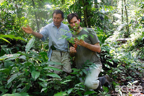 Une encyclopédie de 500 pages sur la médecine traditionnelle prend forme grâce à une  tribu de l’Amazonie | La Sagesse de la Nature | Scoop.it