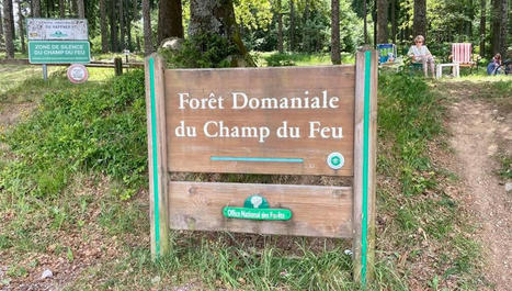 Champ du Feu : nouvelle piste de luge, stade de biathlon, la concertation pour l'avenir du massif est ouverte | - France - | Scoop.it