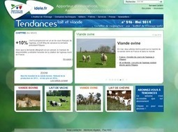 Abonnez-vous et consultez Tendances de juillet 2014 | Actualit&eacute;s de l'&eacute;levage | Scoop.it