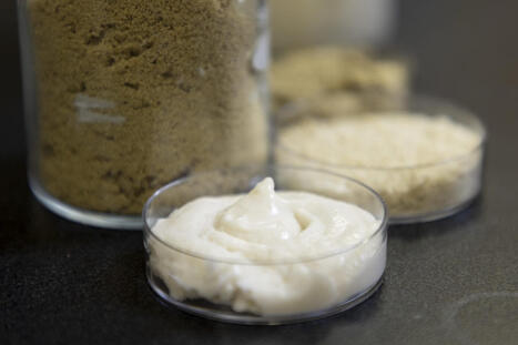 Rice-Based Cheese? Study Points to Possibility for New Rice Markets | Innovation Agro-activit&eacute;s et Bio-industries | Scoop.it