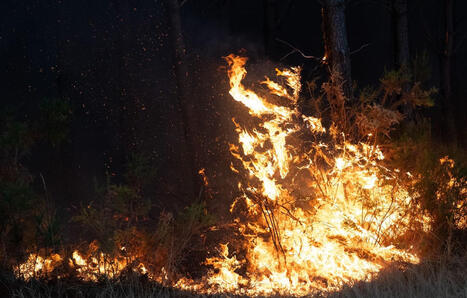 Incendie en Gironde&nbsp;: Le feu est enfin &laquo;&nbsp;stabilis&eacute;&nbsp;&raquo; mais pas encore &laquo;&nbsp;fix&eacute;&nbsp;&raquo; | Plan&egrave;te DDurable | Scoop.it