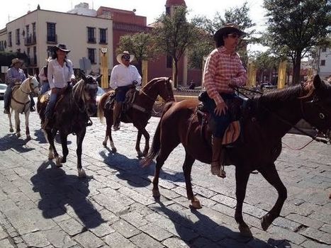 Cabalgan para pedir alto al robo de caballos en Querétaro - Códice Informativo | Caballo, Caballos | Scoop.it