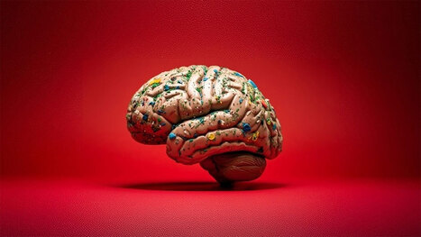 Big Brains podcast: How microplastics are invading our bodies | Industry 411 - Waste Management | Scoop.it
