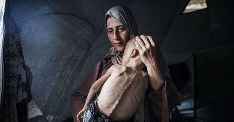 How can famine be reversed in Gaza now that war has stopped? | Industry 411 - Waste Management | Scoop.it