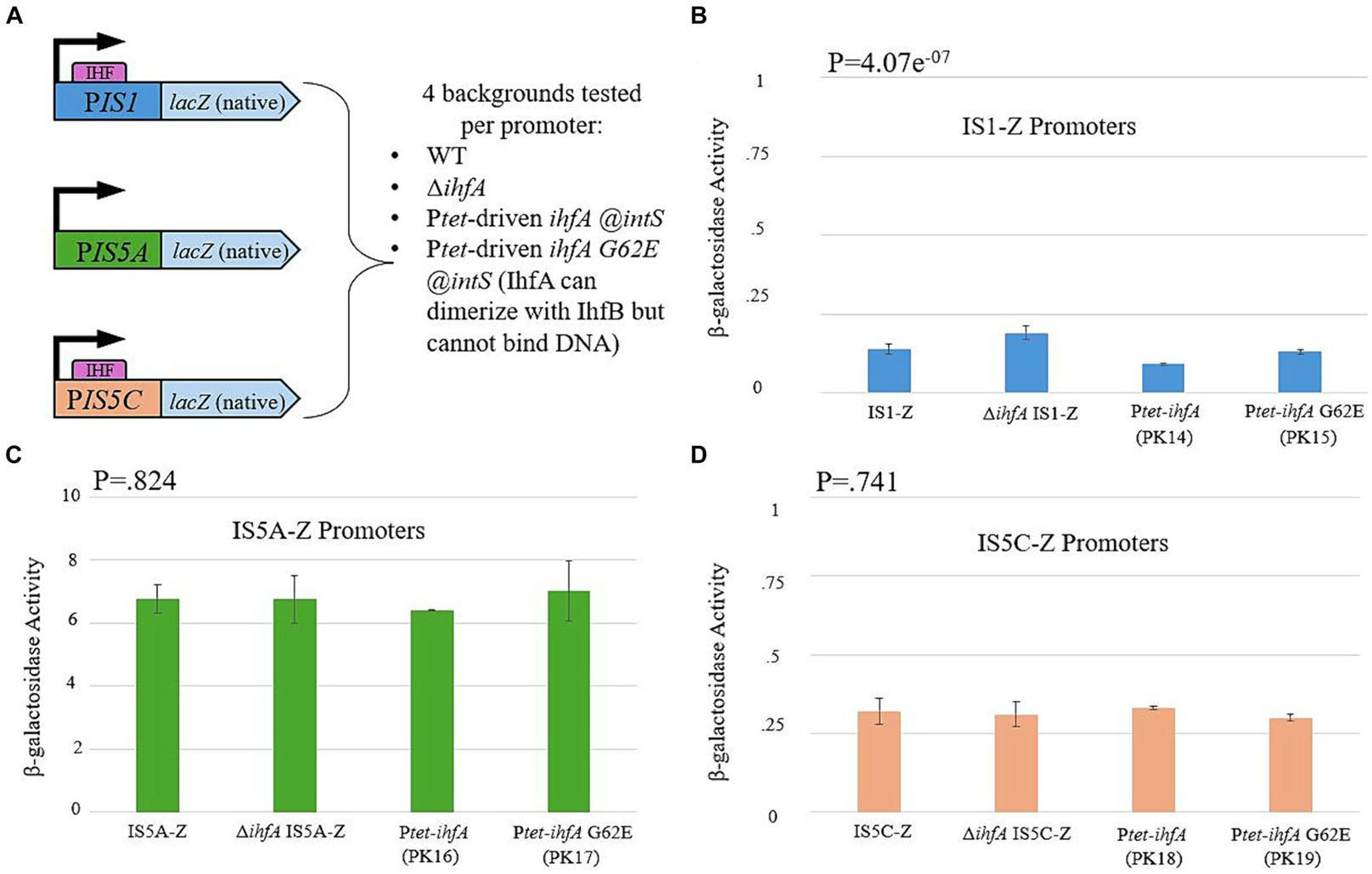 The effect of DNA-binding proteins on insertion...