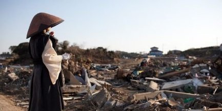 Japon : des fonds pour les rescapés du tsunami versés à compter des tortues | Economie Responsable et Consommation Collaborative | Scoop.it