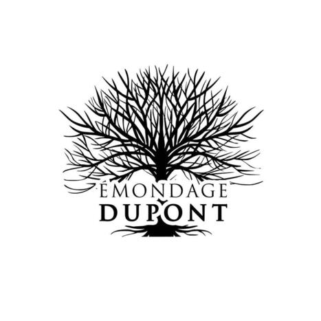 Glossaire forestier C - &Eacute;mondage Dupont Abattage &Eacute;lagage | DictiHOnnaires! | Scoop.it