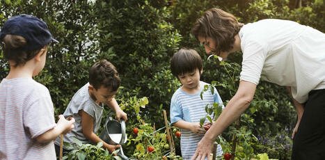 Potager, floral ou aromatique, le jardin scolaire gagne du terrain | Regards croisés sur la transition écologique | Scoop.it