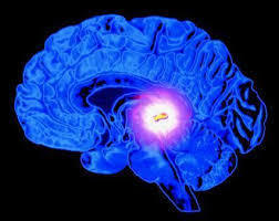 Fluoride Literally Turns the Pineal Gland to Stone | Health Supreme | Scoop.it
