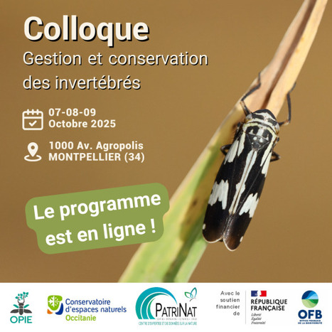 Retrouvez le programme du colloque sur les invertébrés de ce début octobre ! | Variétés entomologiques | Scoop.it