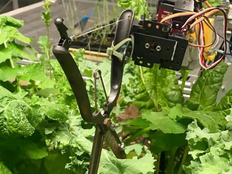 Ce robot jardinier cultive aussi bien qu’un humain tout en utilisant beaucoup moins d’eau | HORTICULTURE | Scoop.it