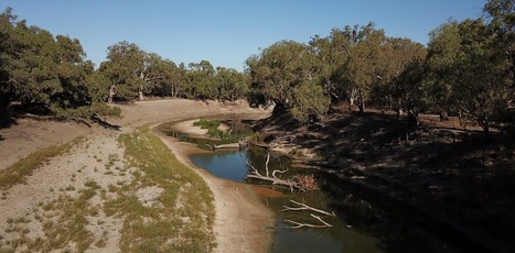 Memo to the environment minister: a river does need all its water | Curtin Global Challenges Teaching Resources | Scoop.it
