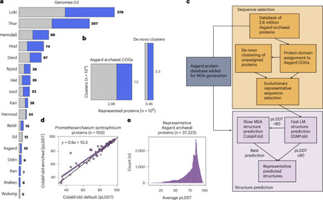 Prediction of eukaryotic cellular complexity in Asgard archaea using structural modelling | Nmb | RMH | Scoop.it