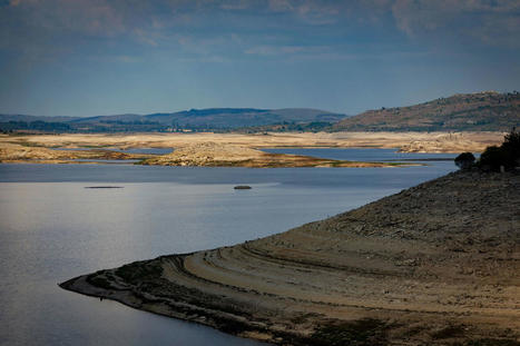 PORTUGAL : "Rain will not solve Algarve drought problem" | CIHEAM Press Review | Scoop.it