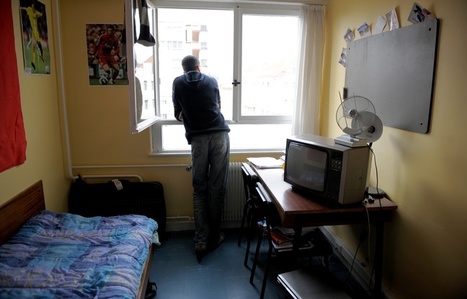 Au moins 180 000 sites infest&eacute;s par les punaises de lit en France en 2016 (vid&eacute;o) | EntomoNews | Scoop.it