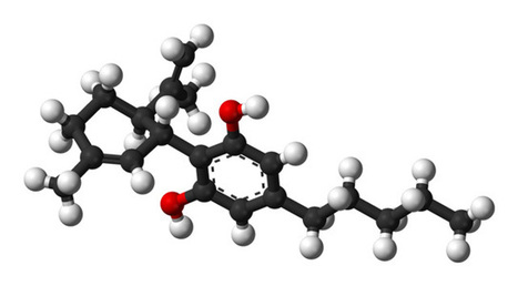 Study: CBD Helps Reverse Booze Brain Damage | Beckley News : Cannabis - Marijuana | Scoop.it