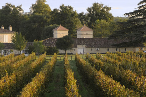 Will Chinese law change hurt vineyard purchases? | ASIES | Scoop.it