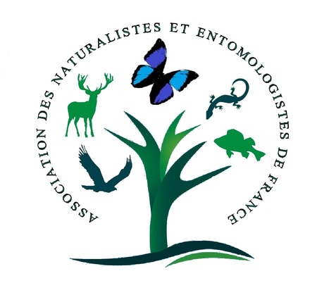 ANEF - Association des Naturalistes et Entomologistes de France | Au fil des Associations | Scoop.it