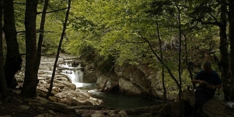 La recuperación de ecosistemas degradados requiere siglos, no décadas | Educación, TIC y ecología | Scoop.it