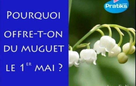CO_Pourquoi offre-t-on du muguet le premier mai? | Remue-méninges FLE | Scoop.it