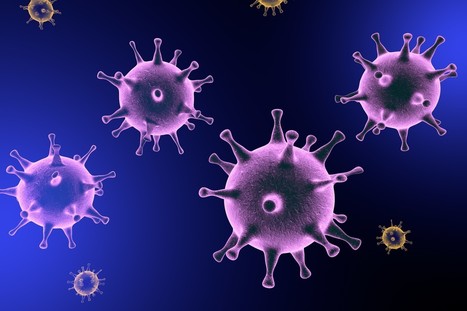 Herpes simplex virus further explored in AE | AntiNMDA | Scoop.it