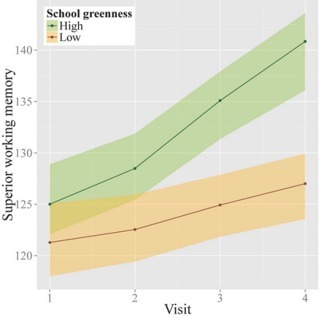 Le contact avec la nature rend les enfants plus intelligents | EntomoNews | Scoop.it