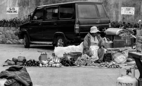 Autour de la ville – | FLEursdeFLE | Scoop.it