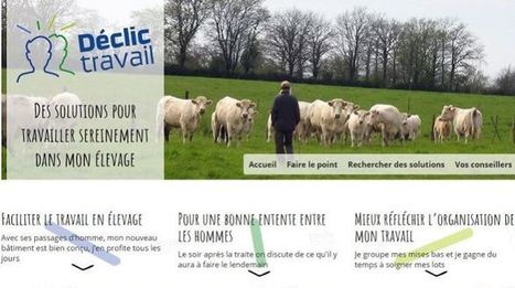 Site D&eacute;clic travail.fr&nbsp;: l'&eacute;l&eacute;ment d&eacute;clencheur d'une r&eacute;flexion chez les &eacute;leveurs - Agri-Mutuel | Pour innover en agriculture | Scoop.it