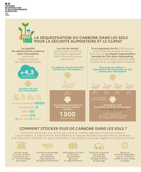 Infographie - Le 4 pour 1000 | Elevage et environnement | Scoop.it