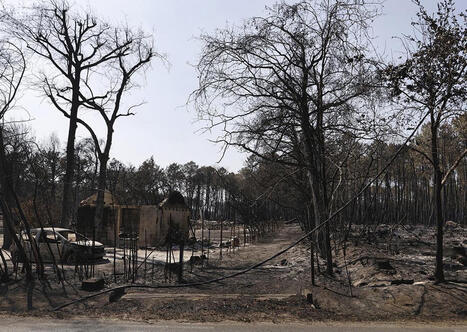 Incendies : les annonces du gouvernement pour reconstruire et adapter les collectivit&eacute;s sinistr&eacute;es | Landes | Scoop.it