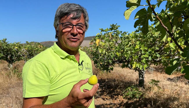 Bataille pour l'eau en Algarve : les agriculteurs innovent pour préserver la fertilité de leurs sols
