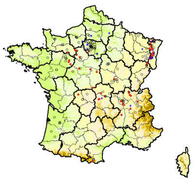 L'ECHO DEMETER : Discr&egrave;te et &eacute;trange mousse, la buxbaumie aphylle&nbsp;!&nbsp; | L'ECHO DEMETER | Scoop.it