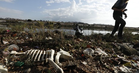 California blames ExxonMobil for plastic pollution crisis = LATimes.com | Agents of Behemoth | Scoop.it