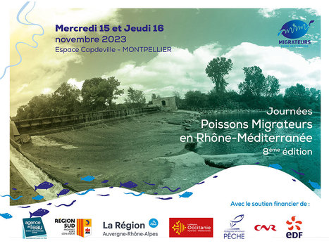 Journées Poissons Migrateurs en Rhône-Méditerranée - 15 & 16 novembre 2023 | Biodiversité | Scoop.it