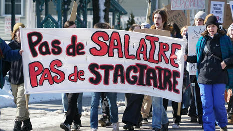 Stages rémunérés : les étudiants du Cégep de Rimouski se joignent au mouvement de grève | Revue de presse - Fédération des cégeps | Scoop.it
