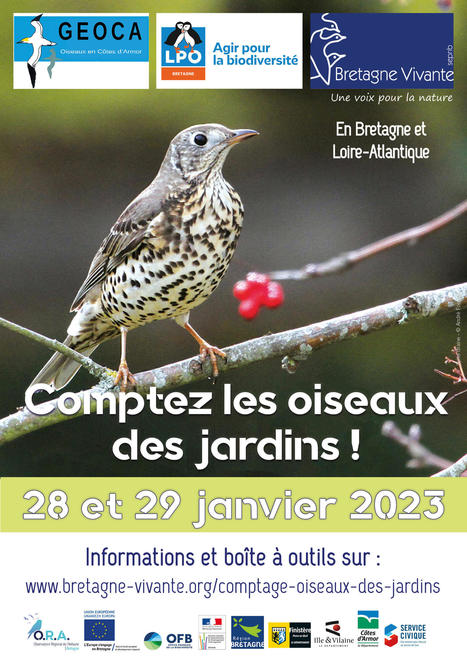 Le comptage régional des oiseaux des jardins - Bretagne Vivante | Biodiversité | Scoop.it