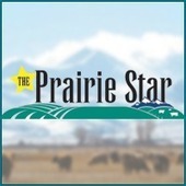 US, Australian, Canadian groups commit to wheat biotechnology - Prairie Star | Plant Molecular Farming | Scoop.it