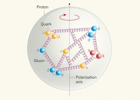 La extrañeza y los gluones del protón aportan el 0,8% y el 50% de su momento magnético | Ciencia-Física | Scoop.it